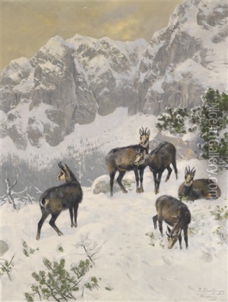 Gamse Im Winter Oil Painting - Josef Schmitzberger