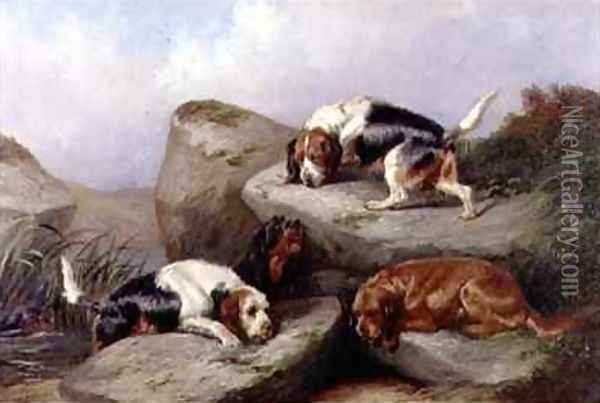 Otterhounds Oil Painting - Colin Graeme
