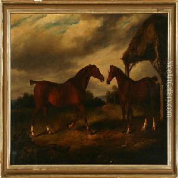Two Horses In Ameadow Oil Painting - William Henry Davis