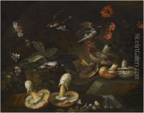 A Forest Floor Still Life With Mushrooms, Flowers, Birds And Abutterfly Oil Painting - Bartolommeo Bimbi