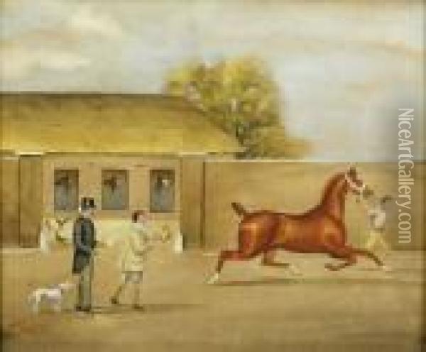 Exercising A Horse Outside A Stable Yard Oil Painting - Henry William Standing