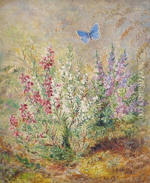 Fire-leaved Heath And Heather, Purple And White, With Adonis Blue Butterfly Oil Painting - Albert Durer Lucas