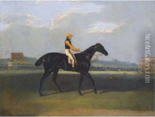 Angler, A Dark Bay Racehorse With Jockey Up Oil Painting - David of York Dalby