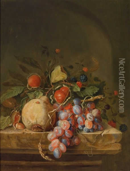 A Still Life Of Fruit Oil Painting - Ottmar Elliger the Elder