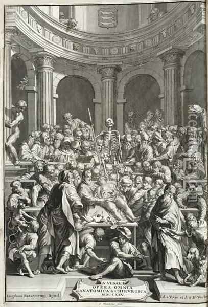 Public dissection in an anatomy theatre, 1725 Oil Painting - Jan Wandelaar