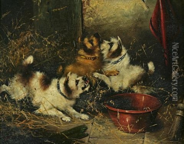 Terriers Ratting (pair) Oil Painting - Edward Armfield