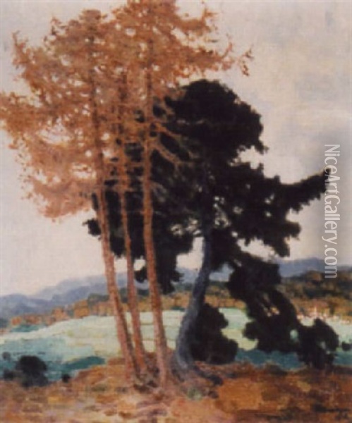 Landschaft Mit Baumgruppe Oil Painting - Artur Nikodem