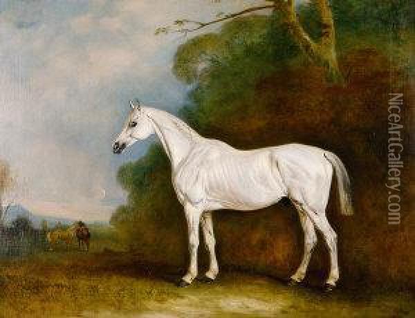 Portrait Of A Grey Colt In A Landscape Oil Painting - John Snr Ferneley