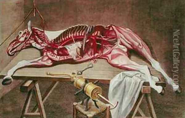 Dissection of a horse from Cours dHippiatrique ou Traite Complet de la Medecine des Chevaux Oil Painting - Harguinier