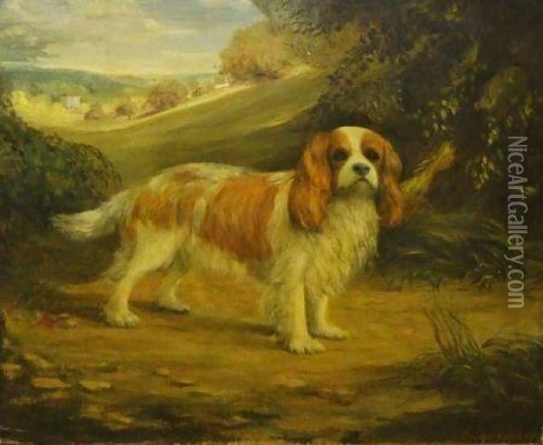 Study Of A King Charles Spaniel In Landscape Oil Painting - Charles Kingsley