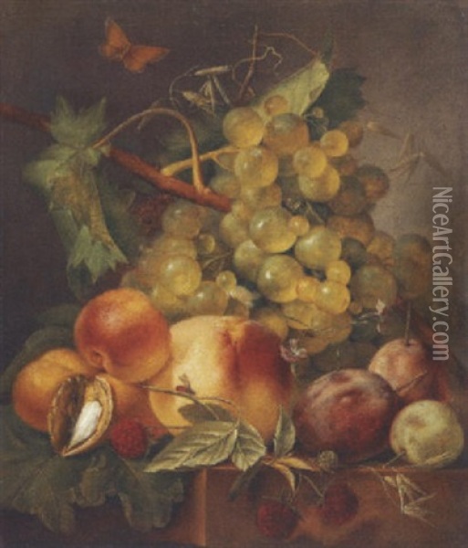 Nature Morte Aux Fruits Et Au Papillon Oil Painting - Johannes Cornelis de Bruyn