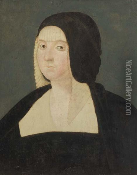 Portrait Of A Lady Oil Painting - Giovanni Antonio Boltraffio