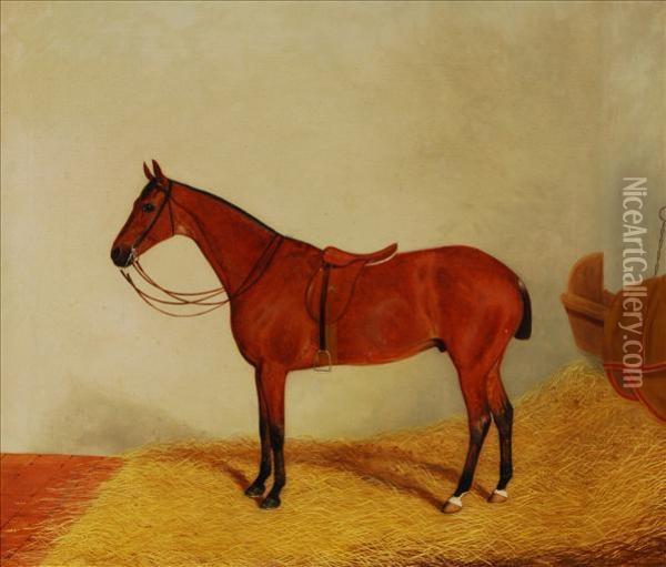 A Bay Horse In A Stableinterior Oil Painting - Harry Hall
