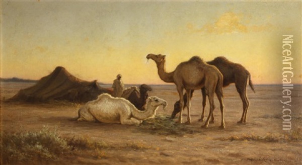 Camels Grazing At A Camp, Biskra, Egypt Oil Painting - Matilda Lotz