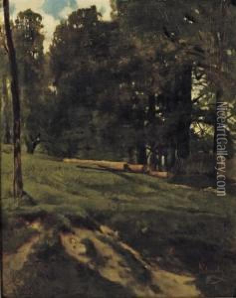 A Wooded Landscape With Cut Down Trees Lying In An Open Field Oil Painting - Carl Schuch