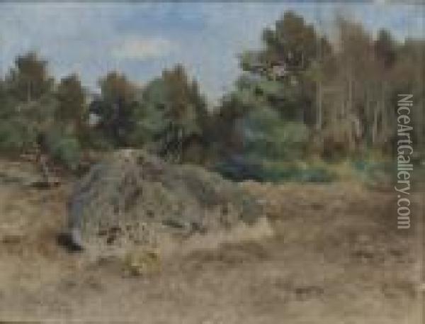 Sten I Akern 2 Oil Painting - Bruno Andreas Liljefors