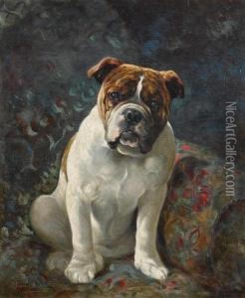 Doodles, Study Of A Bulldog Oil Painting - Lilian Cheviot