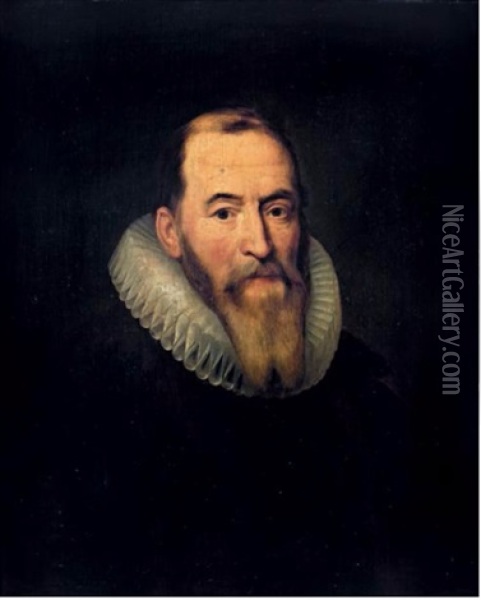 Portrait D'homme A La Fraise Oil Painting - Michiel Janszoon van Mierevelt