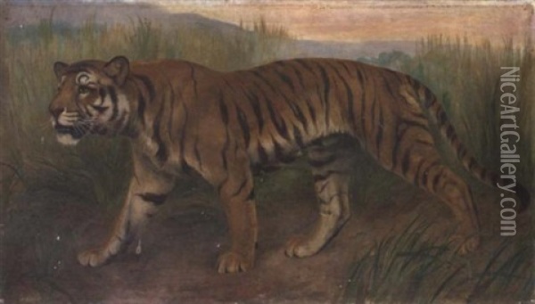 Tiger, Tiger Burning Bright Oil Painting - Harry Dixon