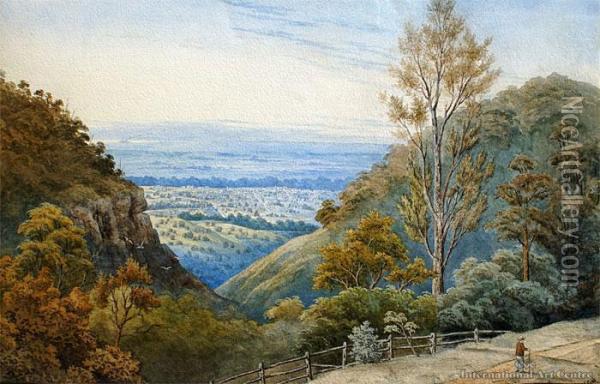 Dunedin From The Tairie Hills Oil Painting - John Barr Clarke Hoyte