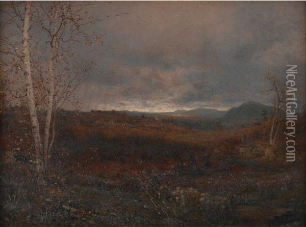 Gray Day In Hill Country Oil Painting - Jervis McEntee