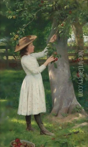 The Pick Of The Orchard (Picking Apples) Oil Painting - Seymour Joseph Guy