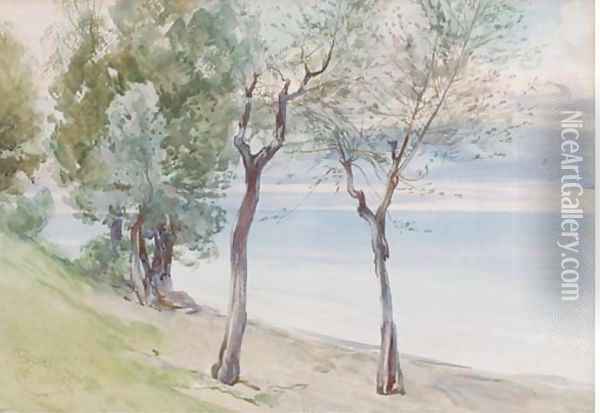 Trees on the coast at Baveno Oil Painting - Onorato Carlandi