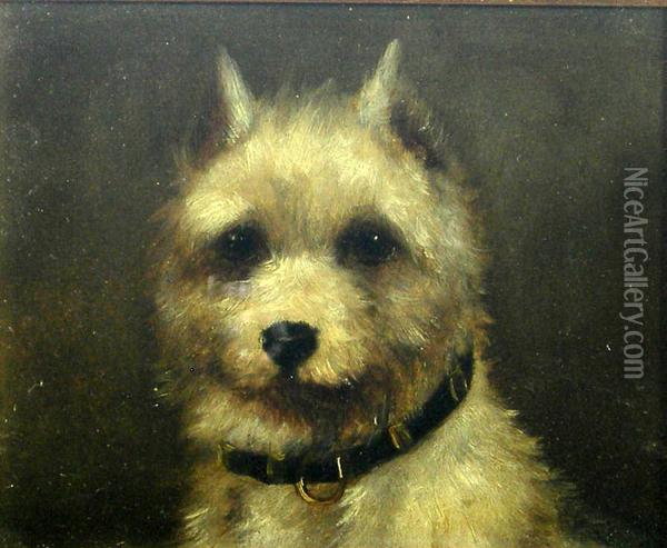 Study Of A Terrier Oil Painting - Edwin John Alexander