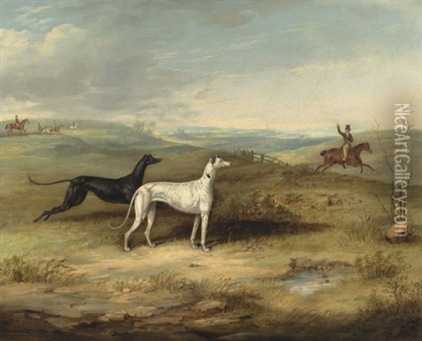 Hare Coursing - Two Greyhounds With A Distant Rider Oil Painting - Thomas Walker Bretland