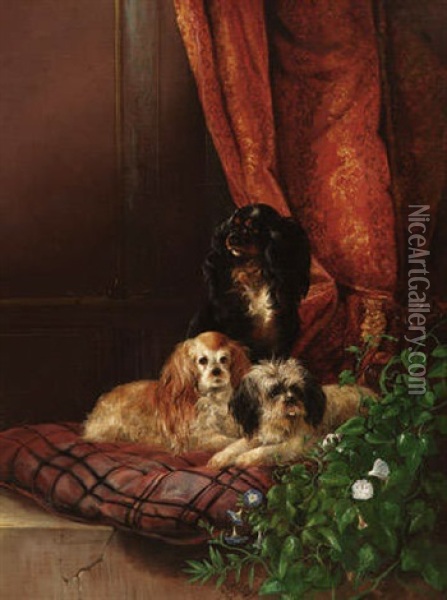 Zwei Spaniels Und Ein Terriermischling Auf Einem Kissen Vor Drapiertem Hintergrund Oil Painting - August Knip