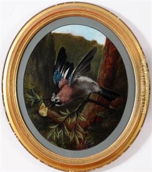 A Jay In A Tree Sighting A Butterfly Oil Painting - Michelangelo Meucci