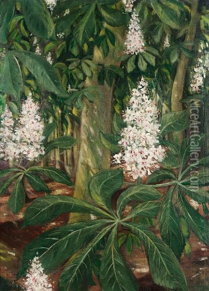 Flowering Chestnuts Oil Painting - Christopher R. Wynne Nevinson