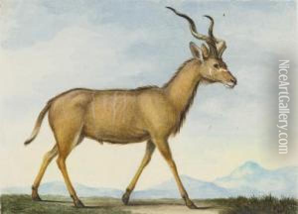 Une Antilope Vue De Profil Vers La Droite Dans Un Paysage Montagneux Oil Painting - Nicolas Huet