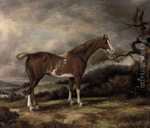 A Favourite Palamino Oil Painting - James Ward