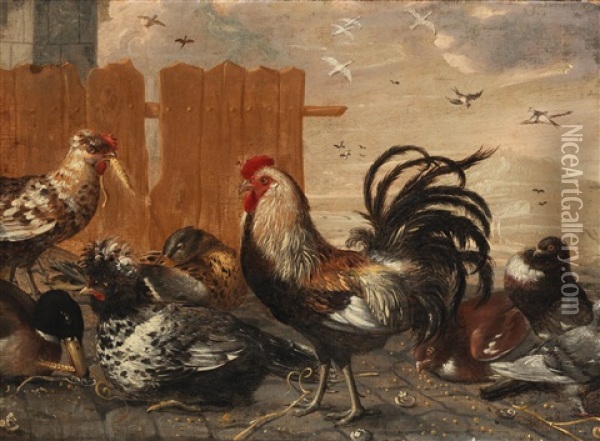 A Chicken Yard Oil Painting - Melchior de Hondecoeter