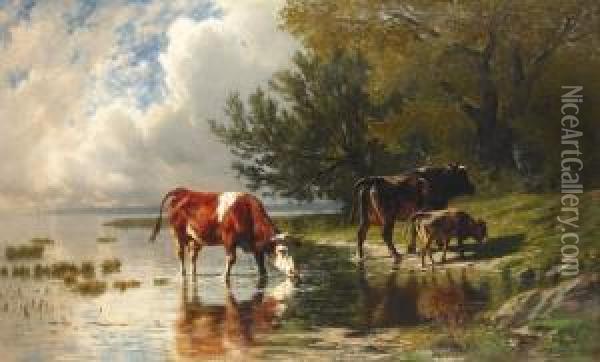 Kuhe Im Seichten Wasser Eines Seeufers. Oil Painting - Charles Humbert