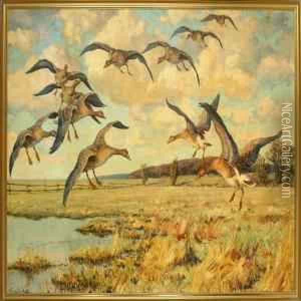 Grey Lag Geese Are Flying Over A Meadow Oil Painting - William Gislander