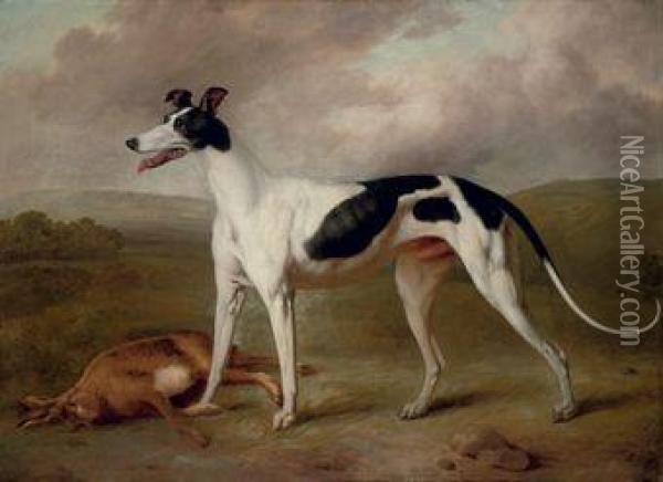 A Prize Greyhound In An Extensive Landscape Oil Painting - Philip Reinagle