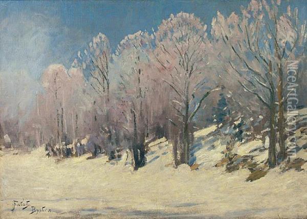 W Zimowym Sloncu Oil Painting - Julian Falat