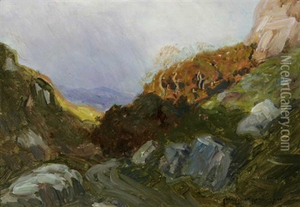 Mountain Landscape Oil Painting - Carl Oscar Borg