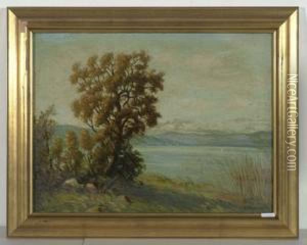 Zurichseeufer. 1928. Oil Painting - Adolphe, Adolf Vogt