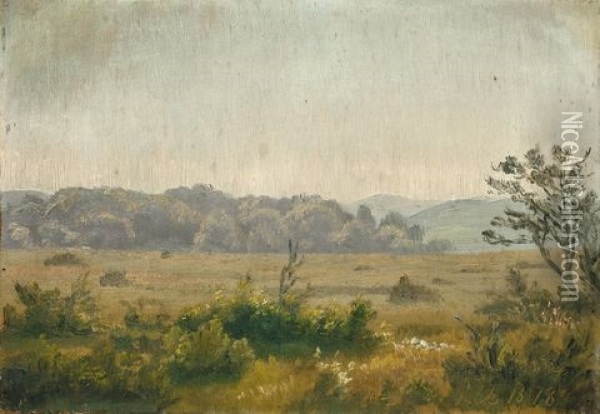 Landschaft Bei Raunsholt In Vendsyssel (nord-jutland) Oil Painting - Johan Ulrik Bredsdorff