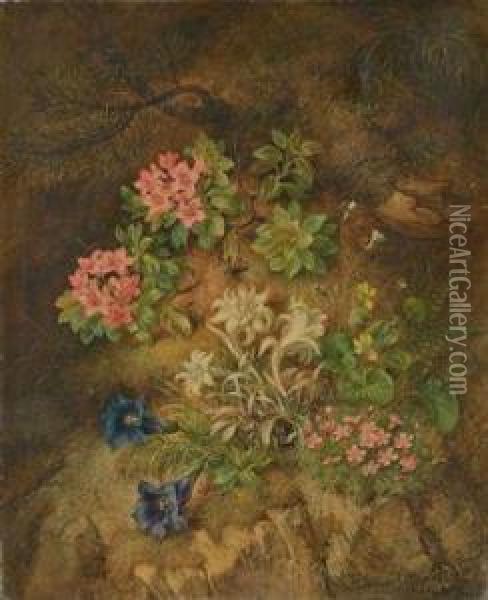 Edelweiss Et Autres Fleurs Dans Un Sous-bois Oil Painting - Theodor Petter