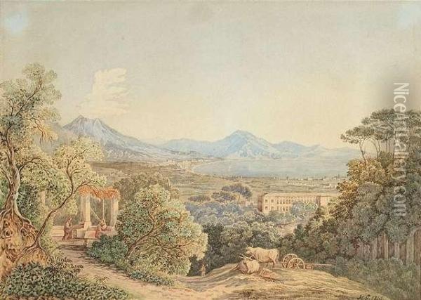 View From A Bank To The Bay Of Naples With The Vesuv Oil Painting - Heinrich Gartner