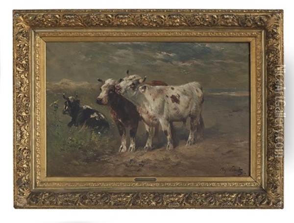Cattle In A Field By The Beach Oil Painting - Henry Schouten