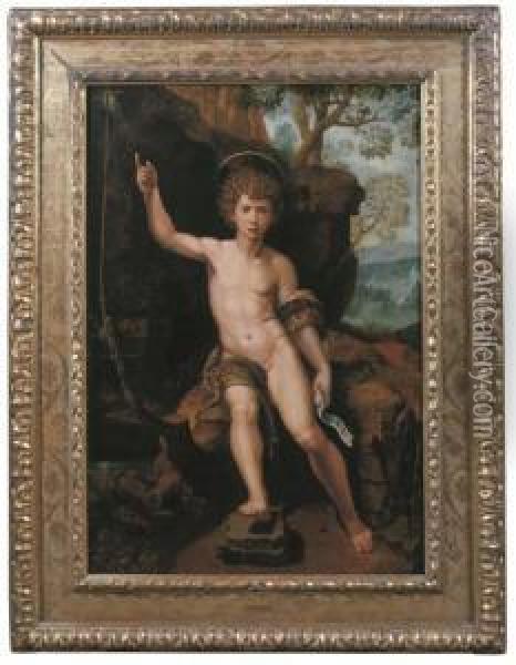 The Youthful Saint John The Baptist Oil Painting - Michiel Van Coxcie