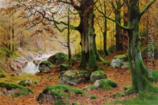 Herbstliche Waldlandschaft Oil Painting - Walter Moras