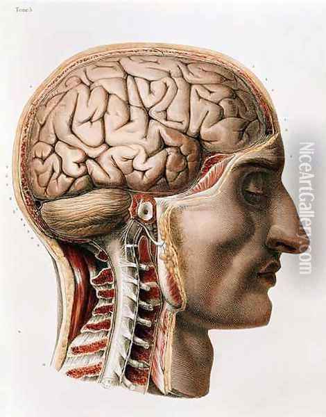 The Brain Oil Painting - Nicolas Henri Jacob