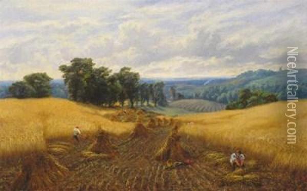 A Cornfield From Nature Oil Painting - Alfred Augustus Glendenning