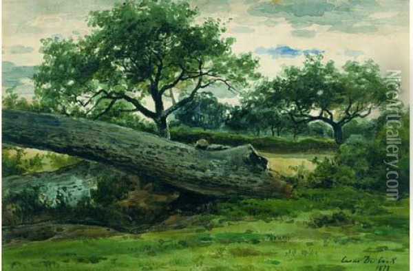 Tronc D'arbre Dans Un Paysage Oil Painting - Cesar De Cock